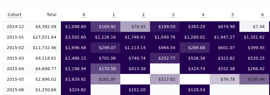 Cohort Revenue Report